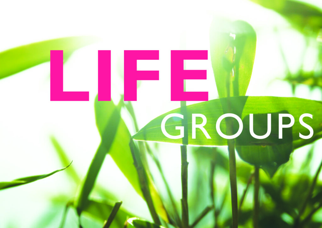 Come, join a life group!