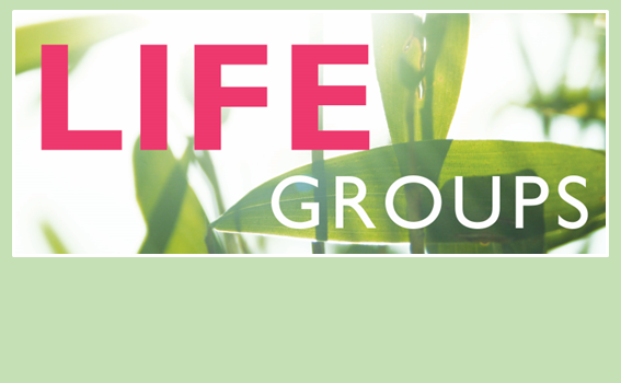 Lifegroup – Thursday 7.30pm